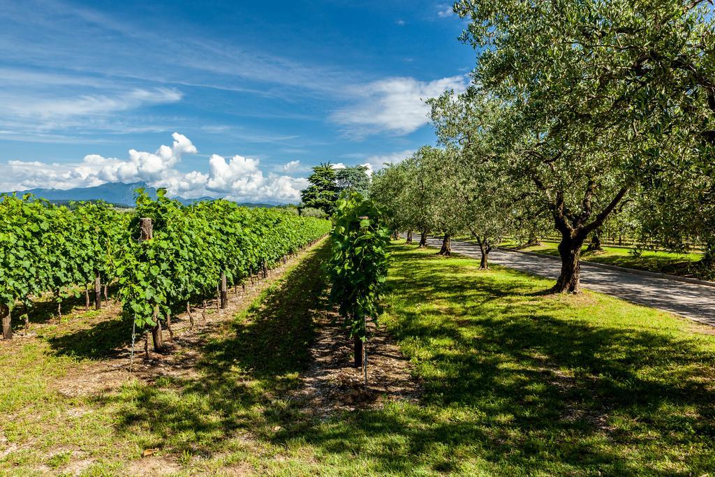 ברדולינו Quercia Belvedere Relais מראה חיצוני תמונה